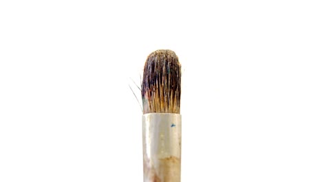 close-up of paint brush