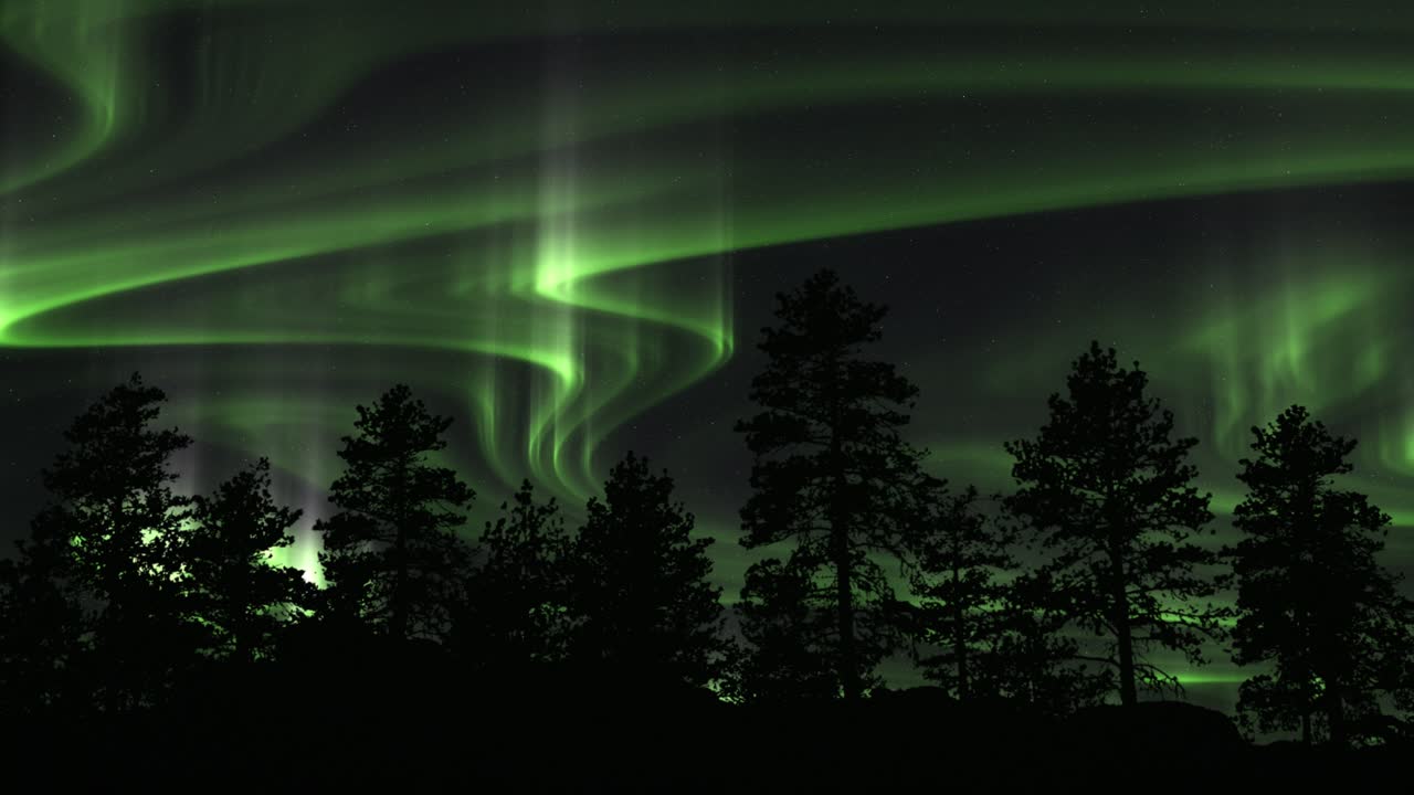 aurora boreal verde arremolinada sobre árboles silueteados