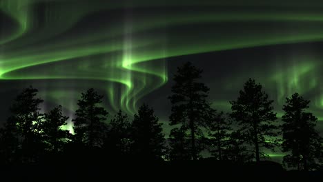 swirling green aurora borealis over silhouetted trees