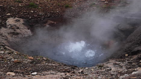 wide angle view of the litli-geysir bubbling, steam coming off the hot water