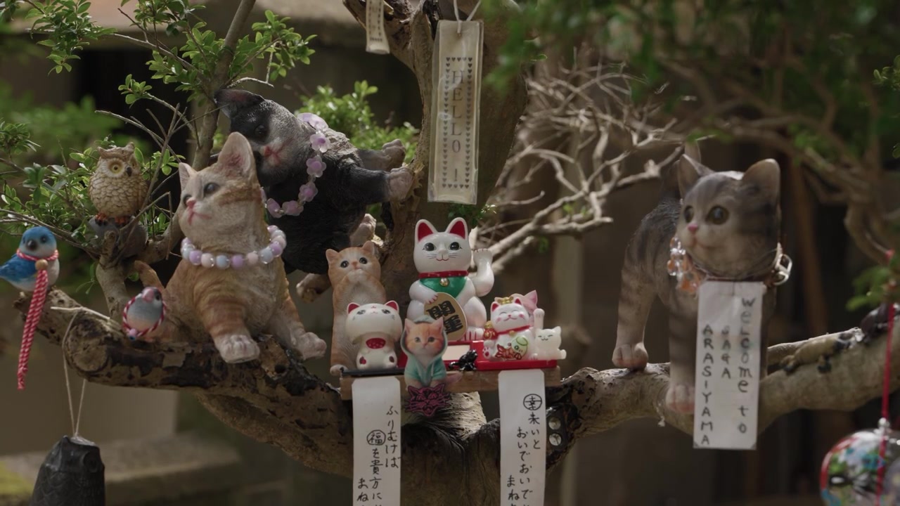 Statuette di gatti e gufi con portafortuna maneki neko su un albero ad Arashiyama, Kyoto