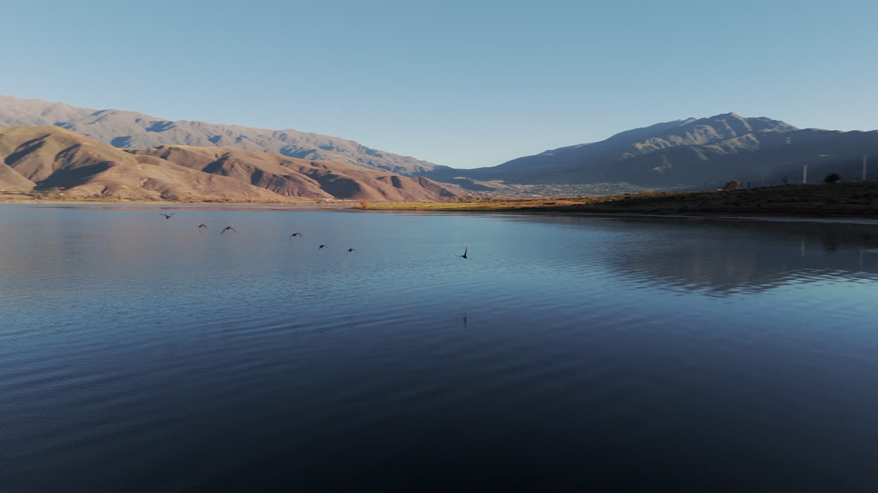 птицы грациозно взлетают в великолепном рассвете над тафи-дель-вальле, тукуман, аргентина