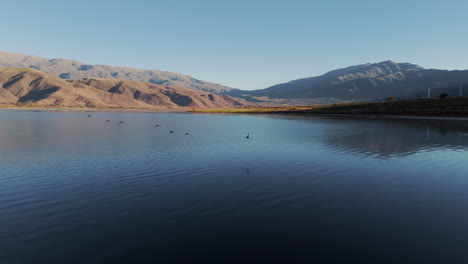 los pájaros vuelan con gracia en el magnífico cielo del amanecer sobre tafí del valle, tucumán, argentina.