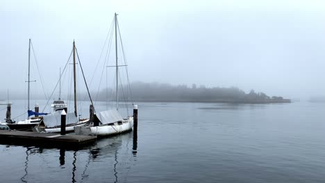 boats moored in marina on a misty morning in balmain east, sydney, nsw, australia