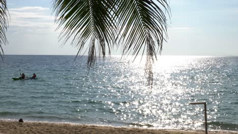 A-birght-reflection-of-the-sun-on-the-ocean,-with-a-palm-leaf-and-kayaking-people