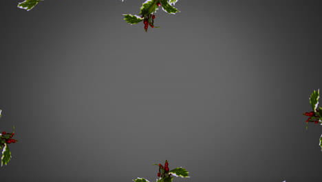 decorativo con ramas de abeto, holly y bayas rojas contra un fondo gris