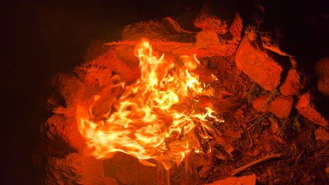 quemar fuego de campamento con llamas calientes, quemar palos de madera y troncos, bosque y naturaleza viaje de campamento, tiro de 4k