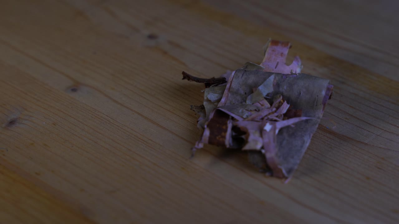 마른 자작나무 껍질의 작은 개별 조각이 나무 테이블에 놓여 회전합니다.