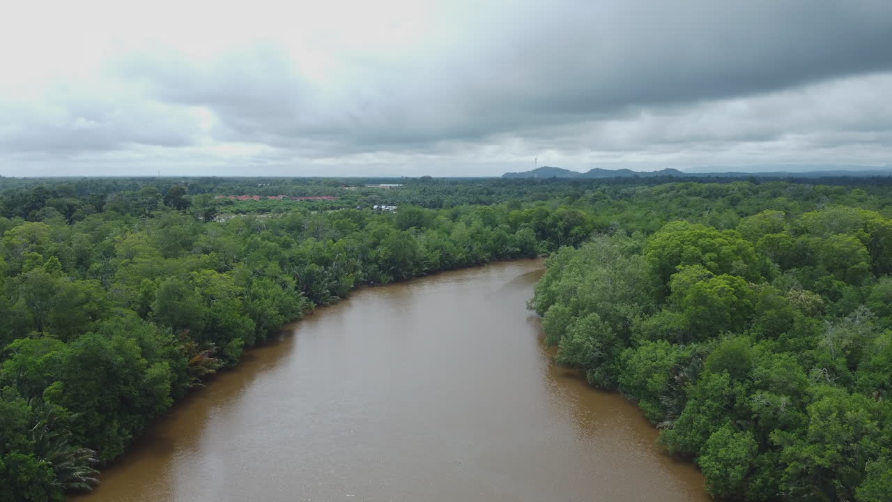 말레이시아 롬핀 파항에 있는 강과 초목의 드론 보기