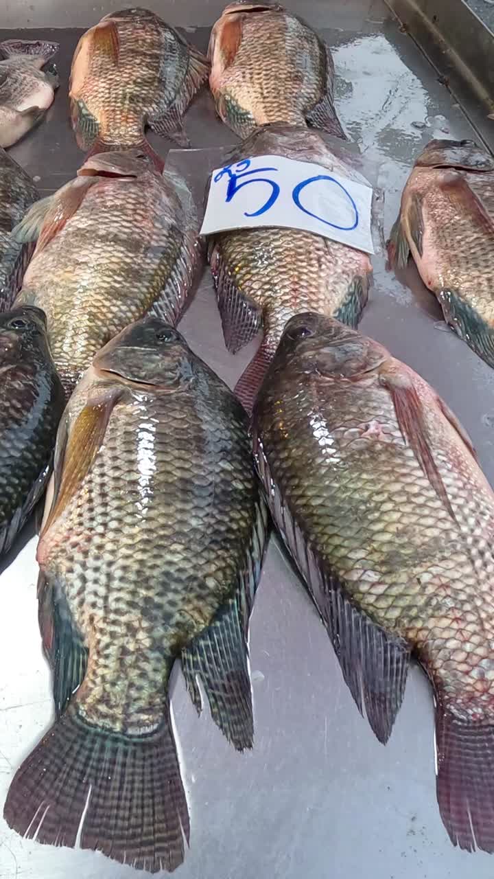 Vertical close-up of whole tilapia fish arranged on a metal surface with a price tag