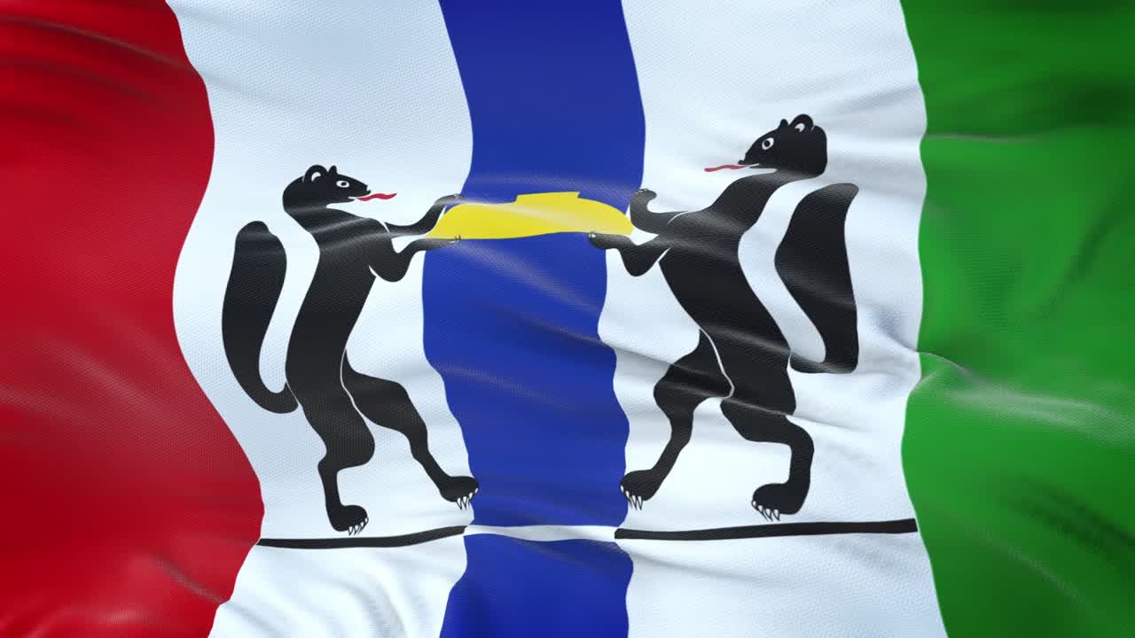 Novosibirsk oblast (Federal subject of Russia) flag waving in the wind with highly detailed fabric texture. Seamless loop