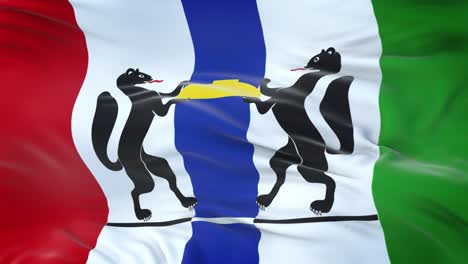 novosibirsk oblast (federal subject of russia) flag waving in the wind with highly detailed fabric texture. seamless loop