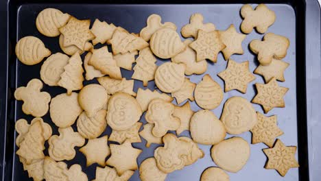 Placing-black-baking-tray-full-of-undecorated-gingerbread-biscuits-under-the-camera-then-taking-away