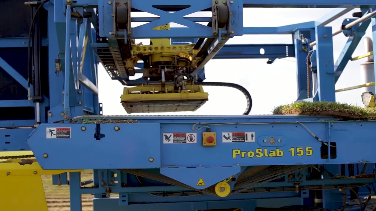 Grandi macchinari agricoli raccolgono il tappeto erboso all'alba mattutina in un'azienda agricola commerciale.