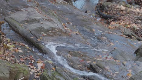 Agua-Que-Fluye-A-Través-De-Rocas-Y-Hojas-De-Otoño-En-Wissahickon