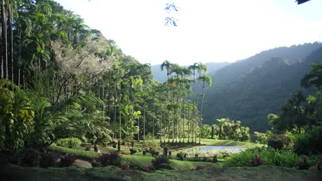 Schöne-Aussicht-Auf-Den-Balata-Garten-In-Martinique,-Sonniger-Tag.