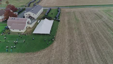 Vista-Ariel-De-Una-Boda-Amish-En-Un-Día-De-Otoño-Con-Buggies,-Un-Amish-Jugando-Voleibol-Visto-Por-Un-Dron