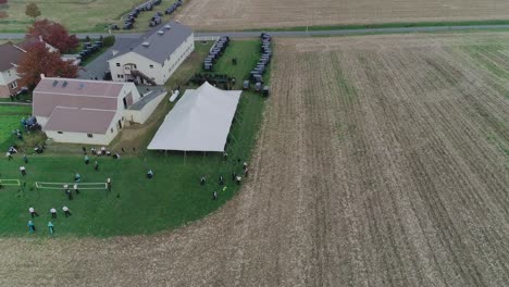 vista de ariel de una boda amish en un día de otoño con buggies, un amish jugando voleibol visto por un dron