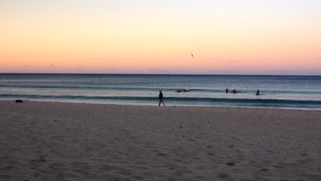 old man walks on the beach at sunset in front of braking waves, surfers and seagulls in manly, australia.
