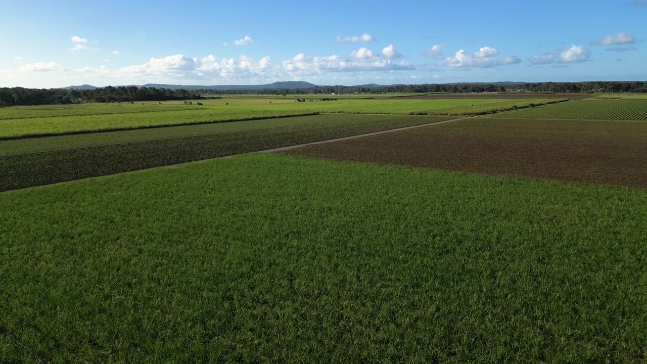 Luftaufnahmen über Zuckerrohrfeldern in Südost-Queensland, Australien