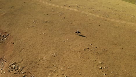 Horse-rider-alone-galloping-towards-yurt-in-mongolian-steppe-in-sunny-daytime,-aerial-dolly