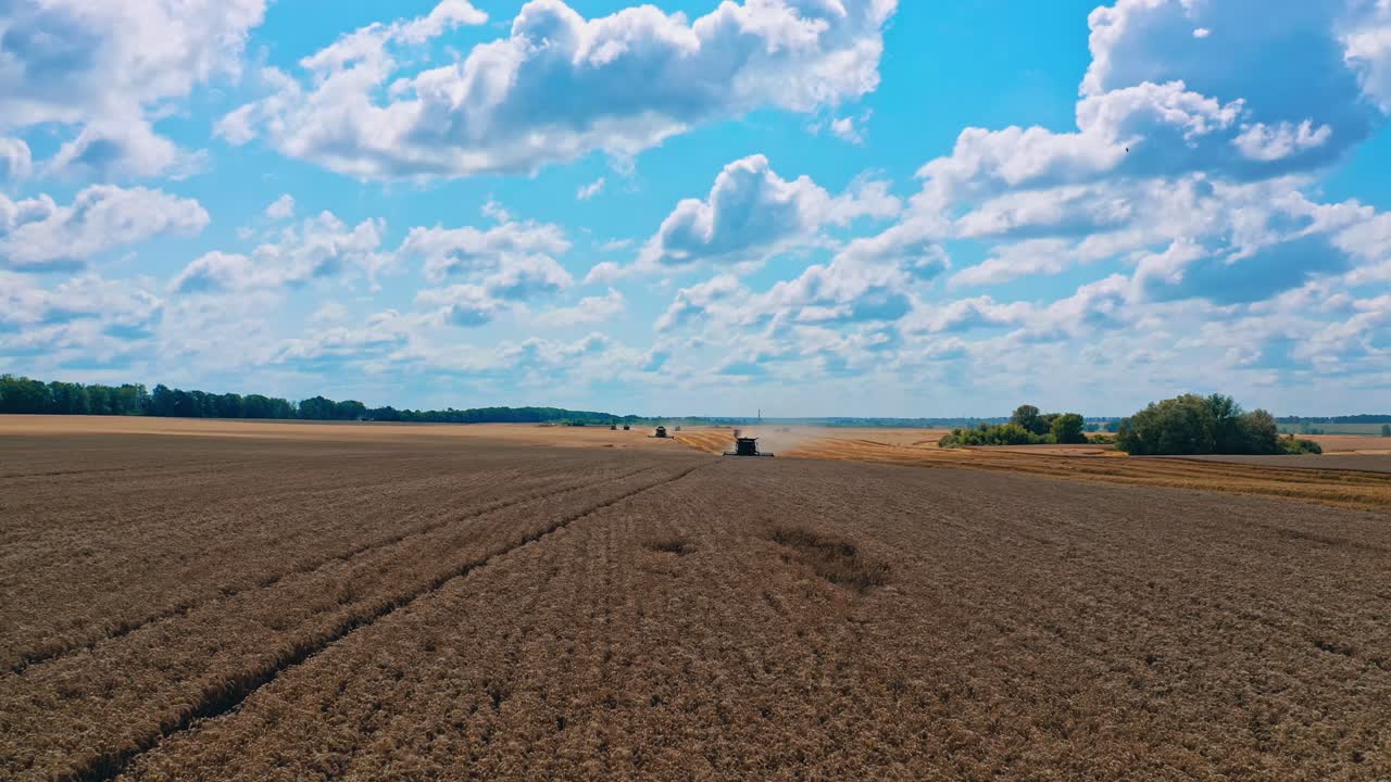 Weizenfeld unter blauem Himmel am Abend. Landwirtschaftliche Arbeiten auf dem Feld. Industriemaschinen bei der Ernte auf Ackerland.