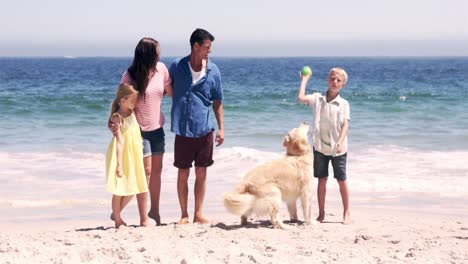 cute family playing ball with the dog