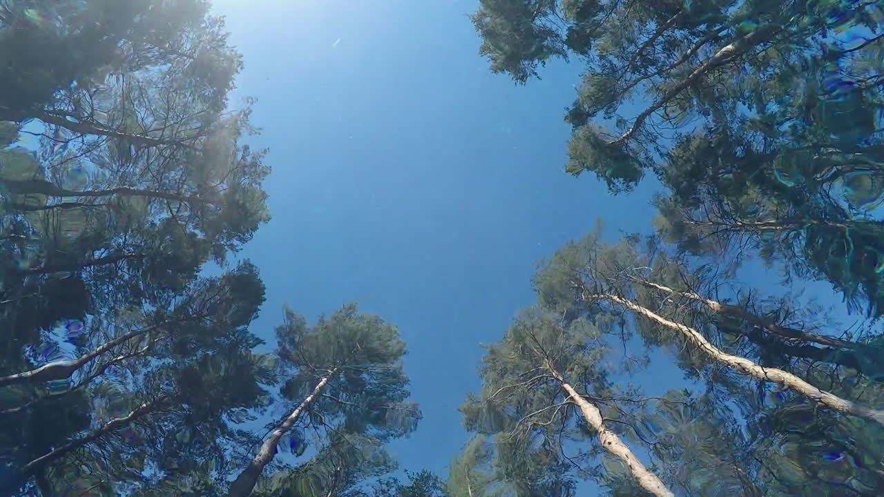 Een man zwemt in het zwembad, zwemt over de camera heen, onderwater video, slow motion.