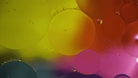 macro structure of colorful oil bubbles. chaotic motion. abstract multicolored background. pattern