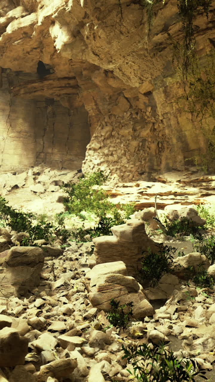 Exploring a lush canyon filled with sunlight and vibrant vegetation