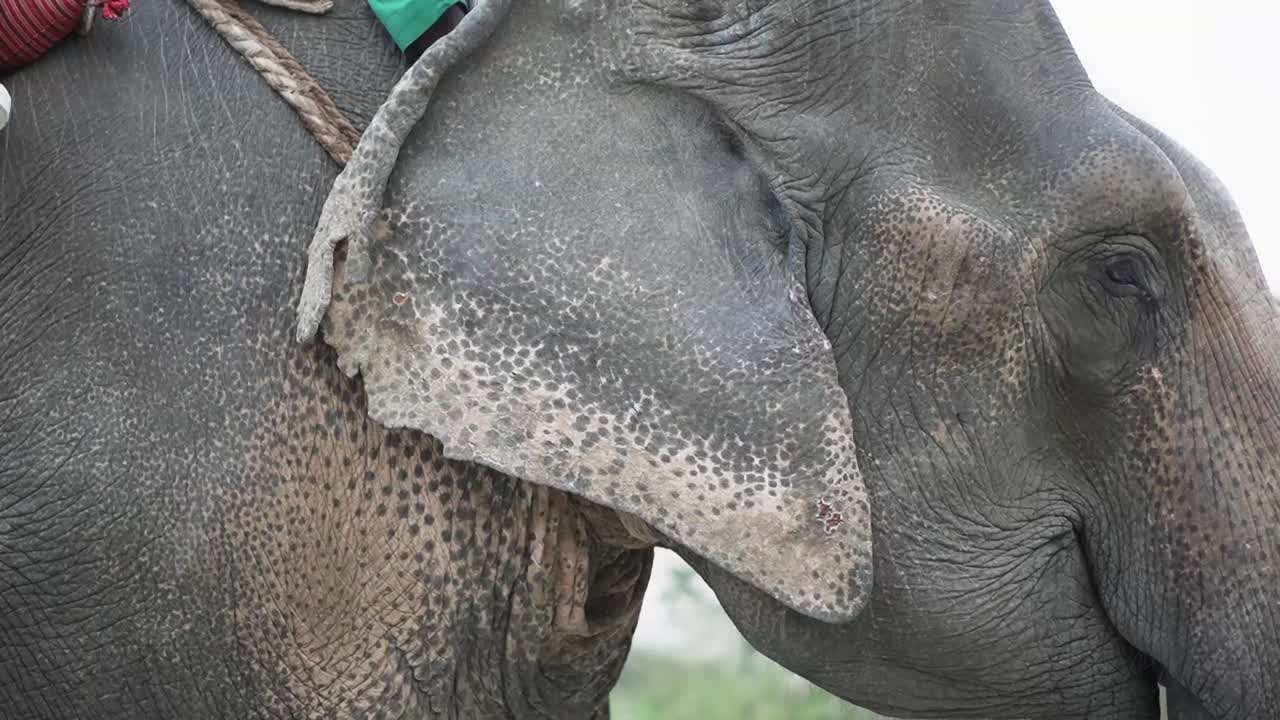 휴가 기간 동안 여행하는 가족
