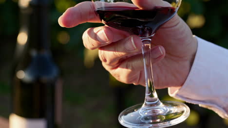 tasting red wine in a vineyard