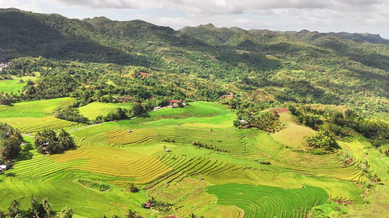 Aerial pull away drone view reveals the vibrant green Cadapdapan Rice Terraces stretching across hills in Bohol, Philippines, framed by forested mountains under bright tropical light