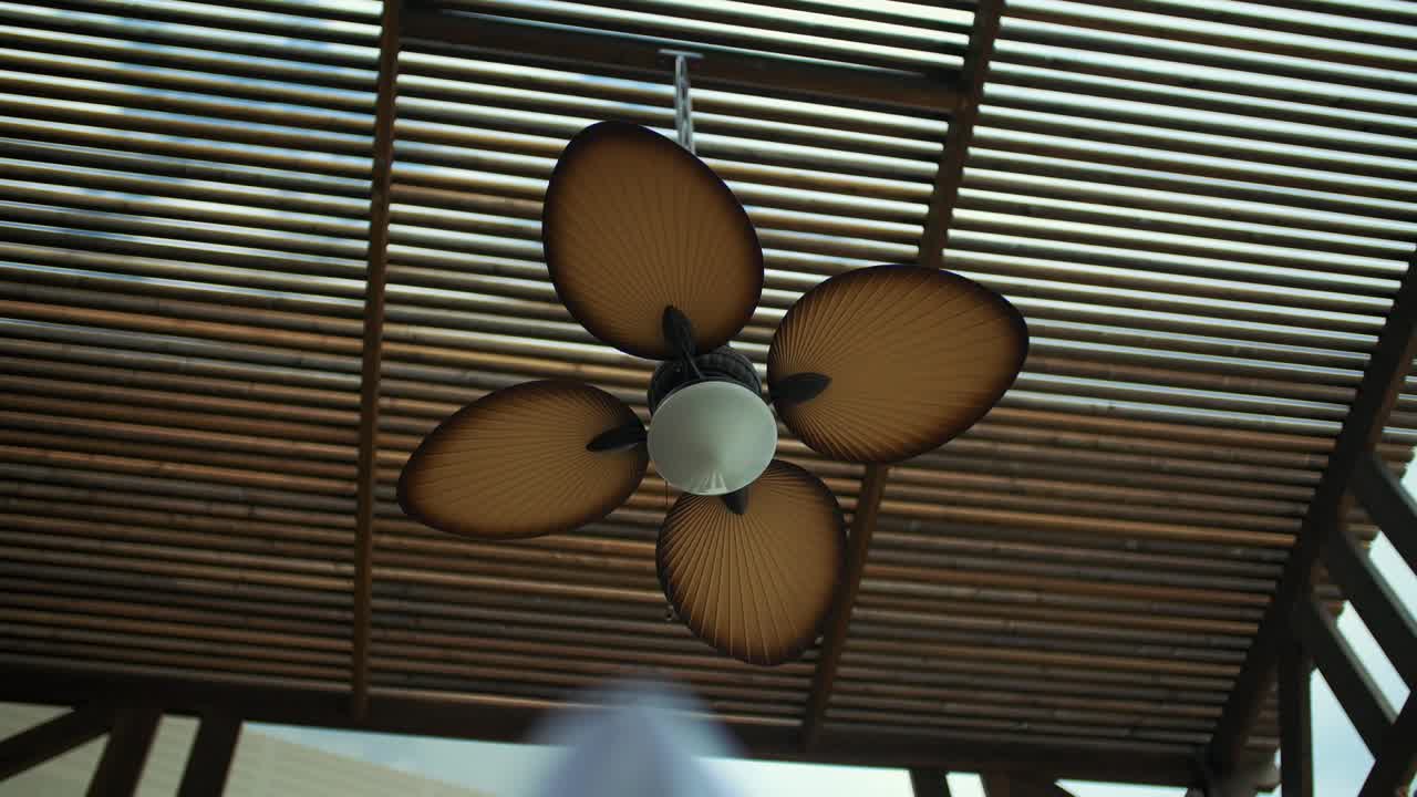 turning the lamp propeller on the ceiling