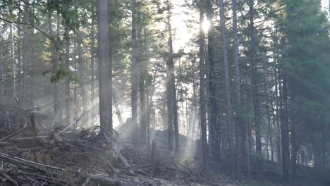 rayos de sol a través del humo de un reciente incendio forestal