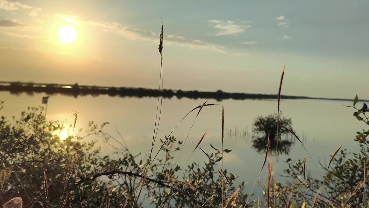 Tramonto dorato su lago calmo con vegetazione in silhouette.