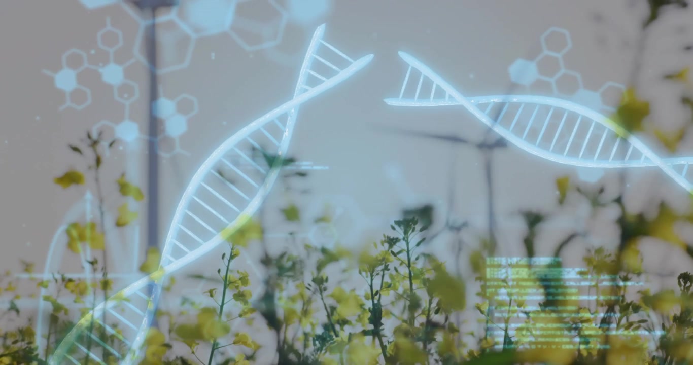 Elica di DNA luminosa che inizia a svanire sopra le colture, testo scorrevole, turbine in aumento che visualizzano energia biotecnologica