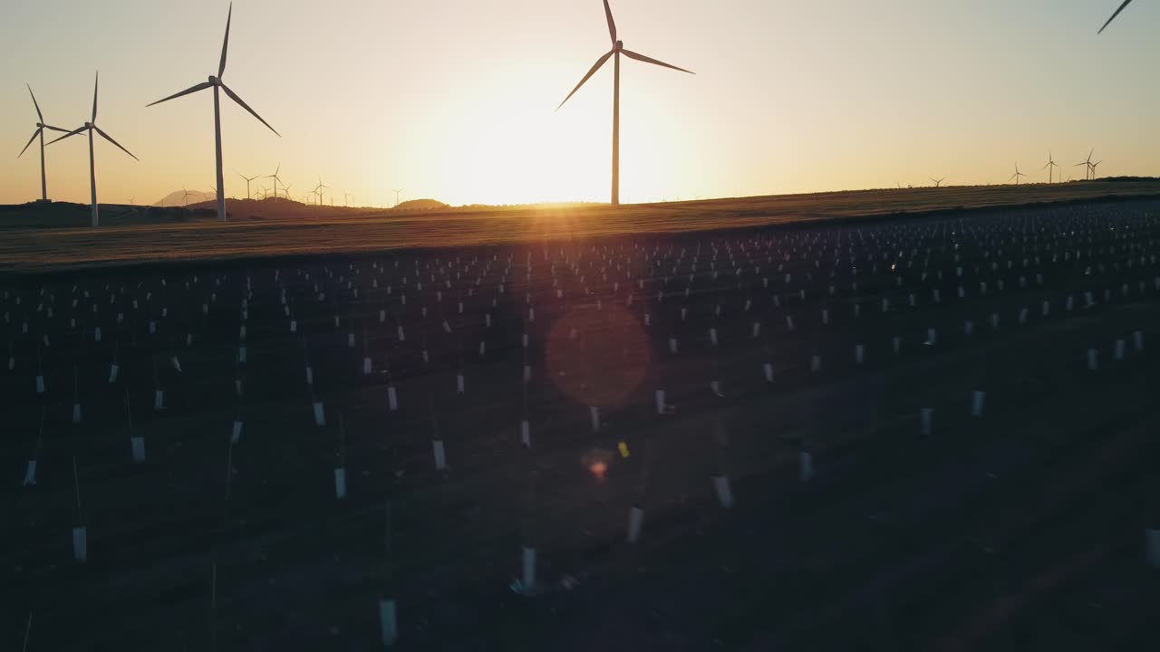 Array of Wind Turbines on Countryside Field at