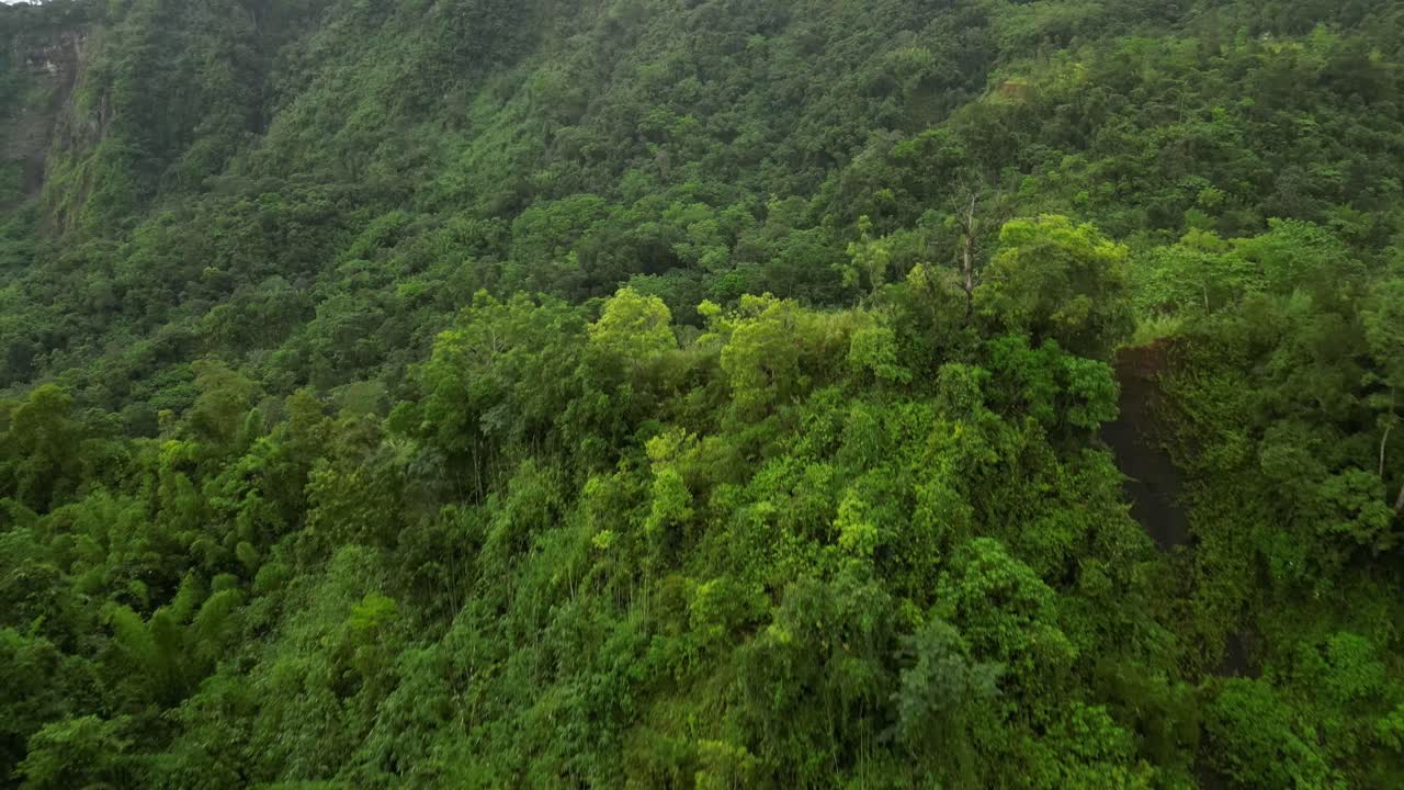 Aerial tracking shot opens over forested hills and winding trails, slowly moving forward through layered tropical terrain. Motion ends over steep slopes and dense canopy, settling into rich greenery