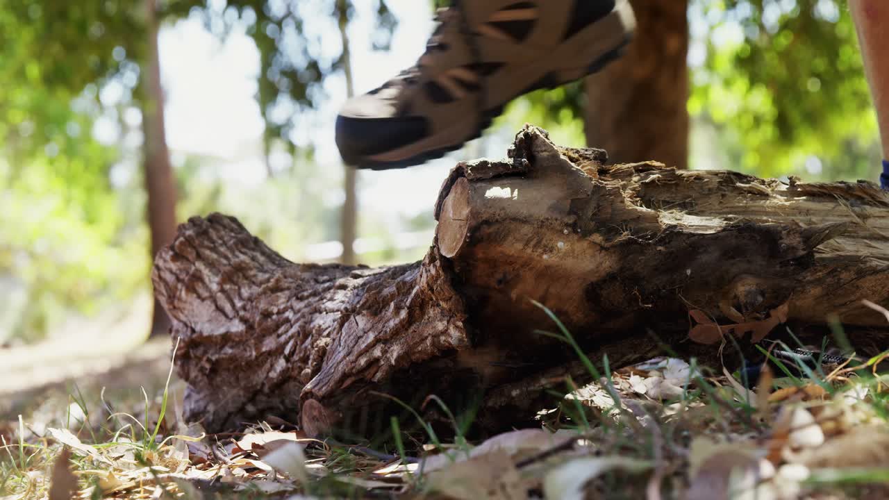 amigos caminando juntos en el parque 4k