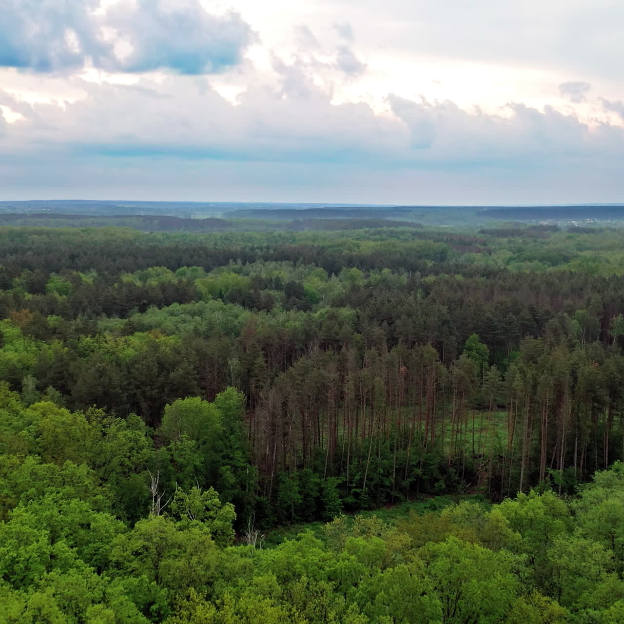 Aerial view of green forest under the cloudy sky. Scenic landscape of tranquil atmosphere among green trees of a forest outdoors. Flying over the tops of trees.