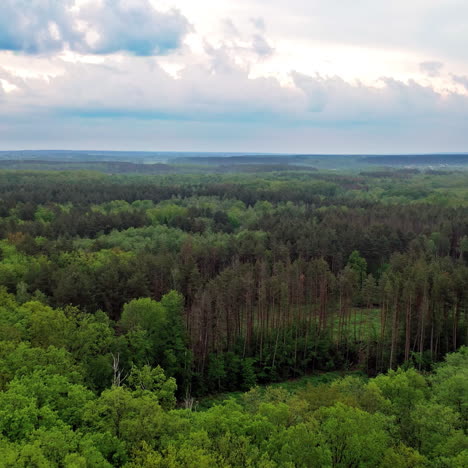aerial view of green forest under the cloudy sky. scenic landscape of tranquil atmosphere among green trees of a forest outdoors. flying over the tops of trees.