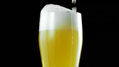 Beer-poured-in-glass-against-black-background-4k