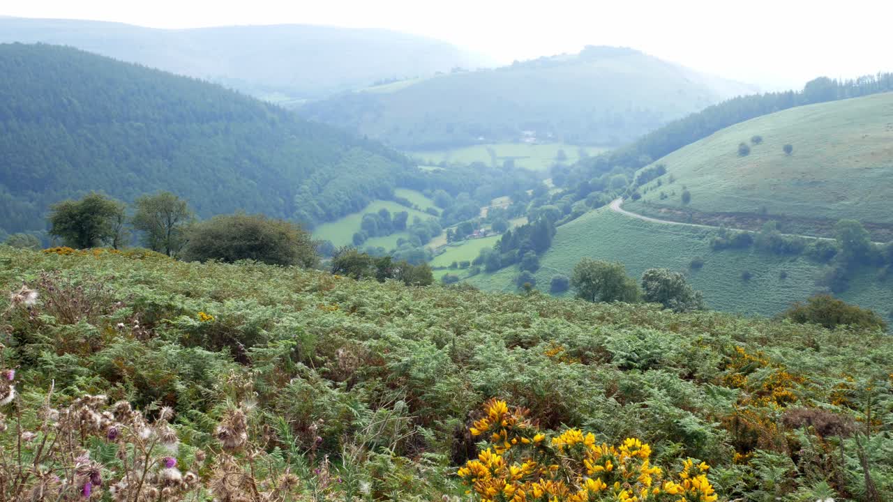 mañana brumosa vista del paisaje del valle de la montaña a través de la campiña de senderismo escénica rural izquierda dolly