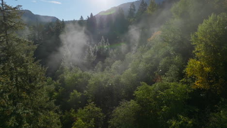 Luz-De-La-Mañana-Difundida-Entre-Zarcillos-De-Niebla-Balanceándose-Sobre-El-Verde-Bosque-Pnw