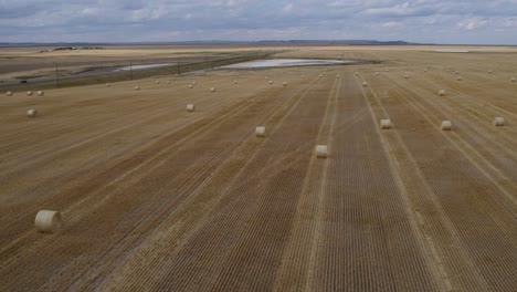 farming field with harvest hay bales in montana countryside, aerial