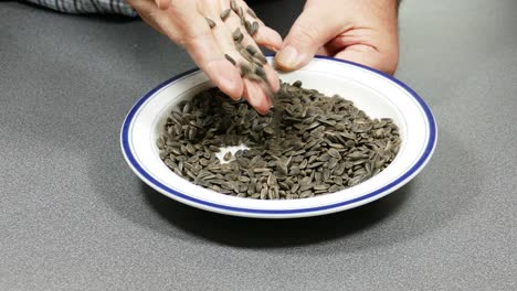 Microgreens-sunflower-seeds-in-a-bowl