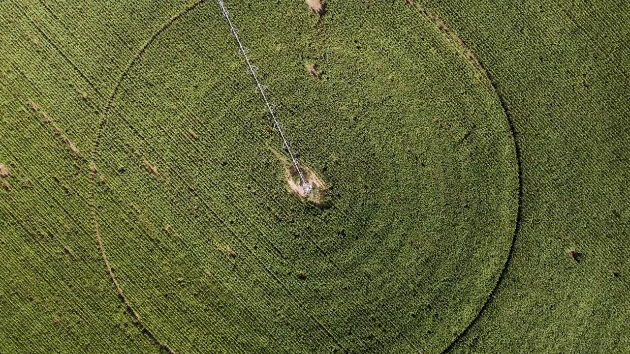농업 분야의 조감도