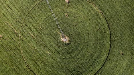 Luftaufnahme-Des-Landwirtschaftlichen-Feldes