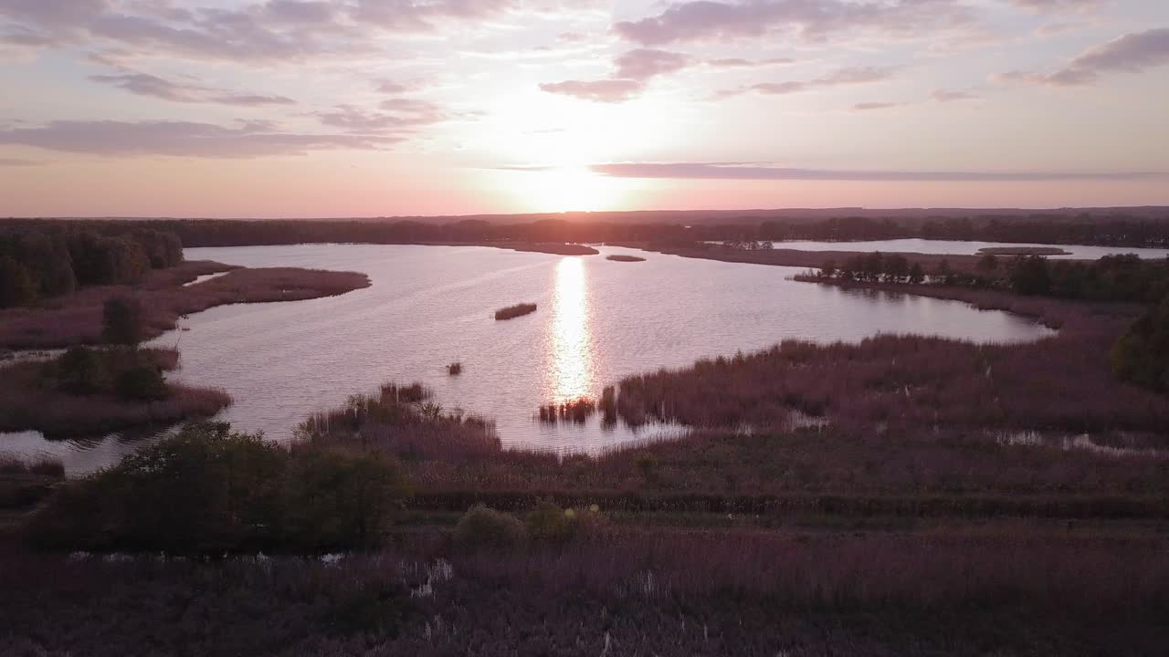 폴란드의 풍경 공원의 공중 촬영을 드러내는